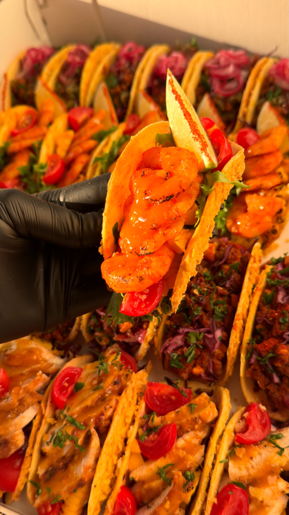 Mini tacos con gamberi
